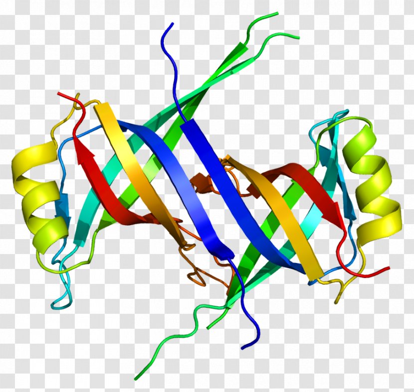Single-stranded Binding Protein SSBP1 DNA Gene - Watercolor - Dnabinding Transparent PNG