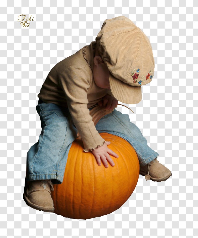 Pumpkin Halloween Film Series Human Behavior Toddler Transparent PNG
