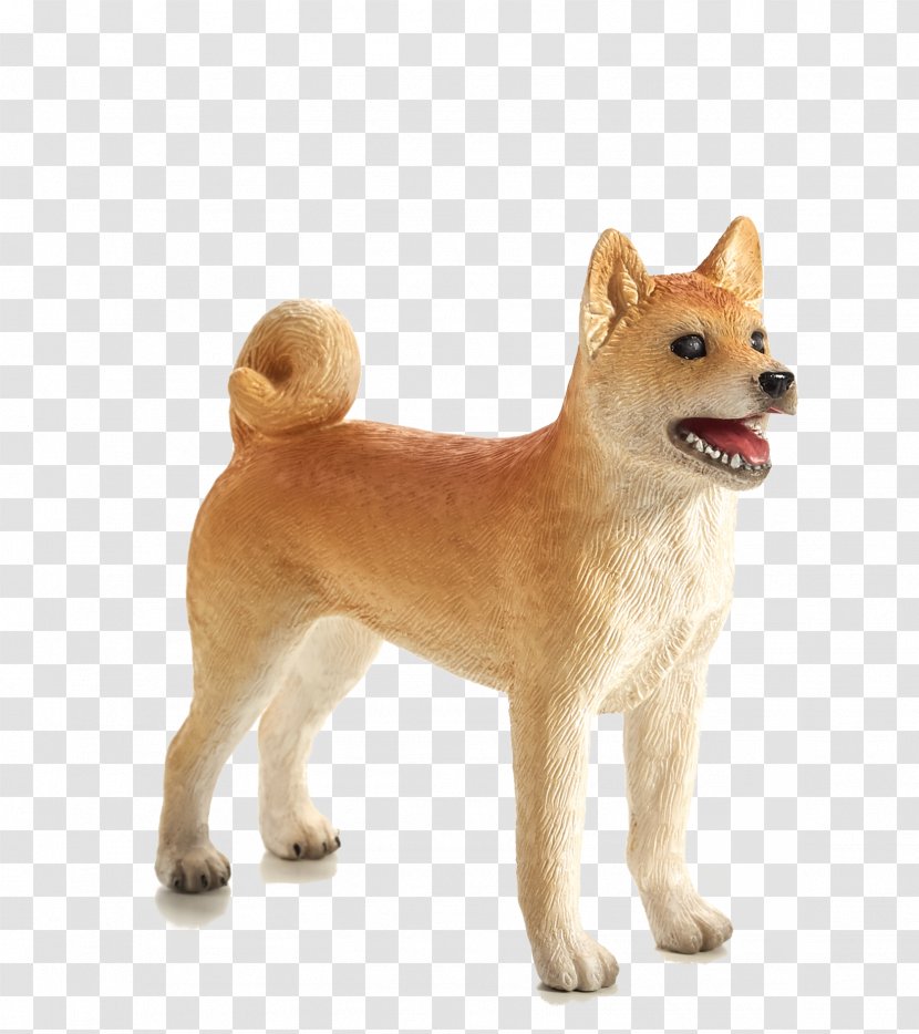 Akita Shiba Inu Canaan Dog Shikoku Norwegian Buhund - Pet Transparent PNG