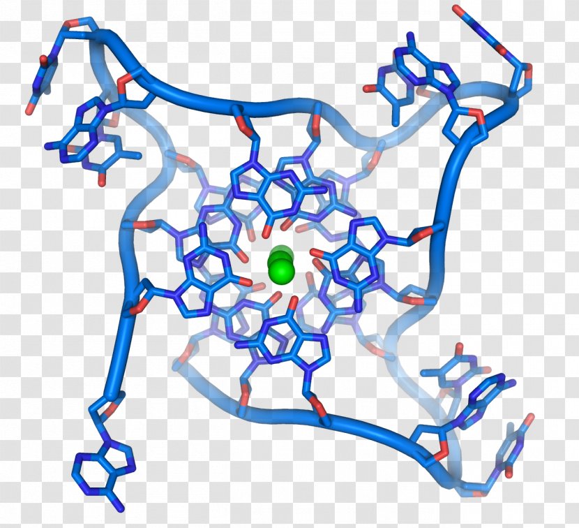 G-quadruplex DNA Telomere Structure Nucleic Acid Double Helix - Frame Transparent PNG