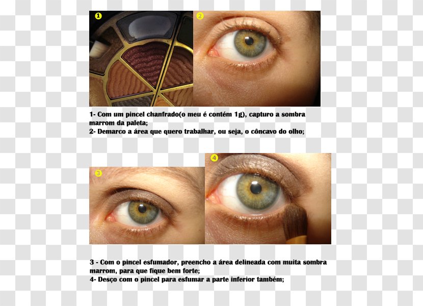 Eyelash Extensions Brown Black Lancôme Eye Shadow - Frame - 1234 Transparent PNG
