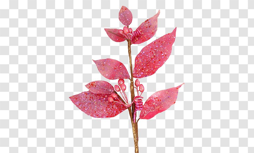 Leaf Plant Stem Transparent PNG