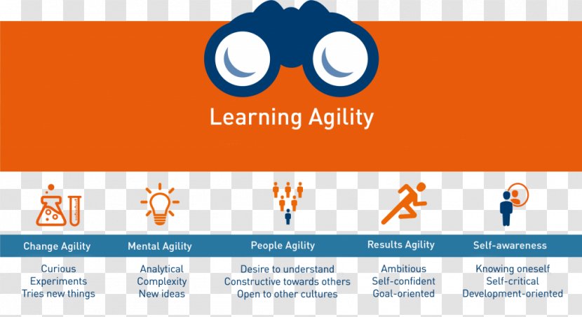 Learning Organization Leadership Development Agility Logistics Education - Orange - Talent And Skill Transparent PNG