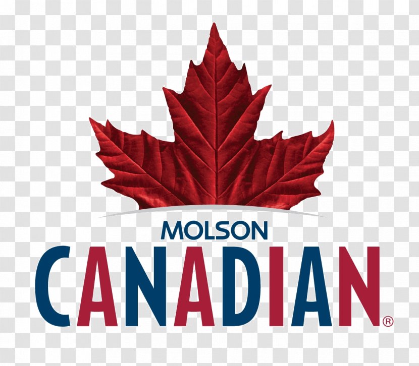 Molson Brewery Beer Lager Coors Brewing Company - Logo Transparent PNG