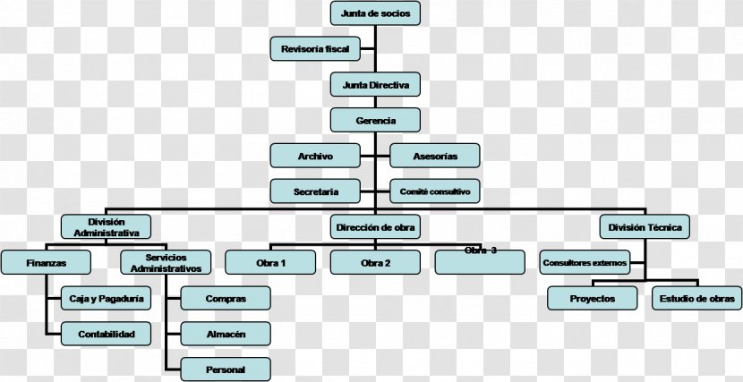 Organizational Chart Organización De Empresas - Organization Development - Design Transparent PNG