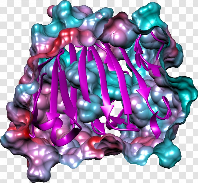 Art Pink M Organism - Gamma Globulin Transparent PNG