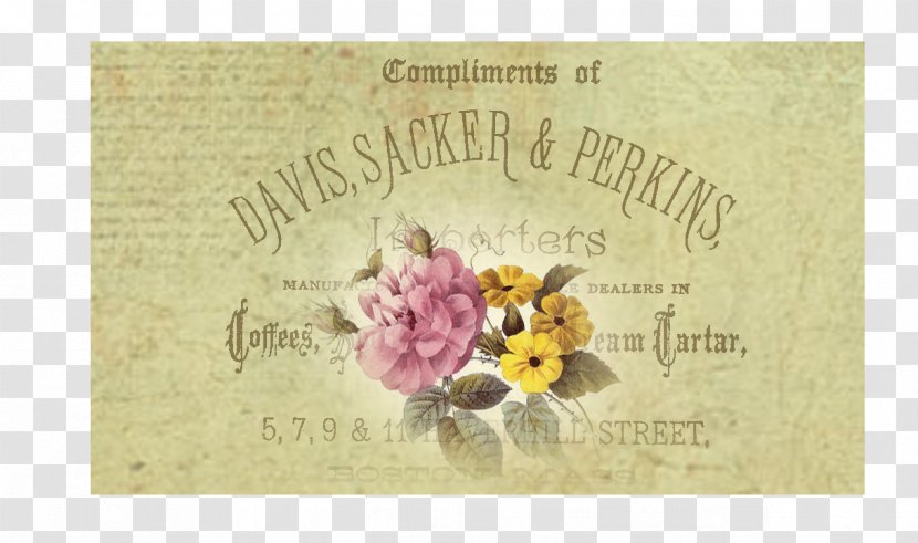 Paper Floral Design Greeting & Note Cards Picture Frames - Flower Transparent PNG