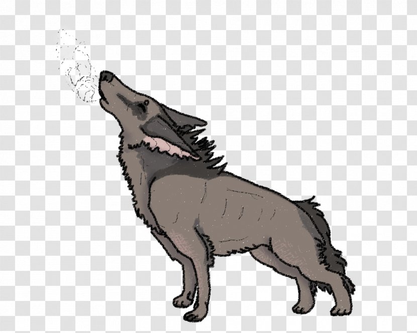 Dog Breed Snout Wildlife Paw Transparent PNG