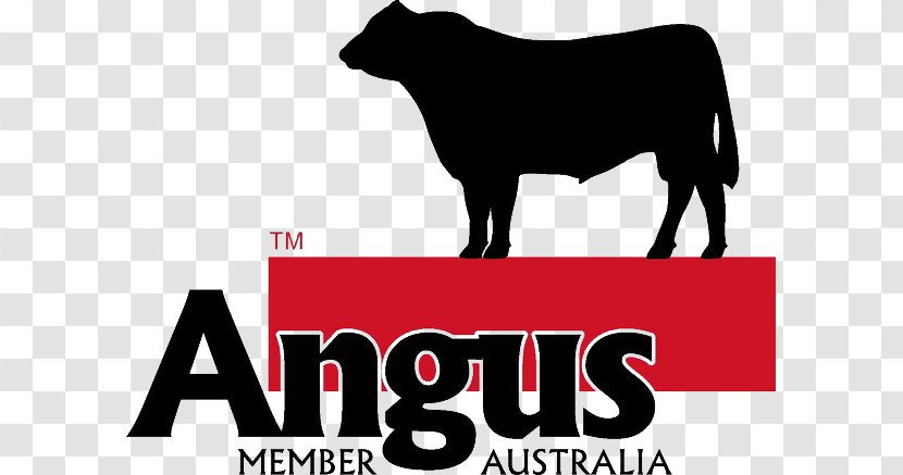 Angus Cattle Logo Ox Farm Australia - Black And White Transparent PNG