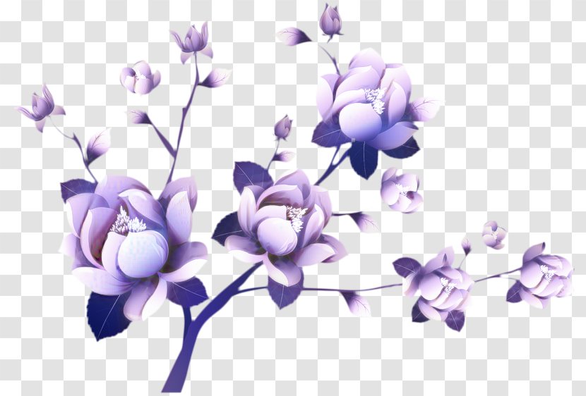 Flowers Background - Branch - Wildflower Violet Family Transparent PNG