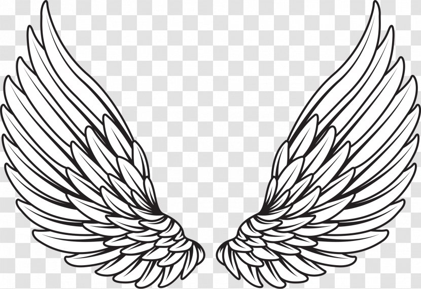 Drawing Royalty-free - Fictional Character - Wings Angel Transparent PNG