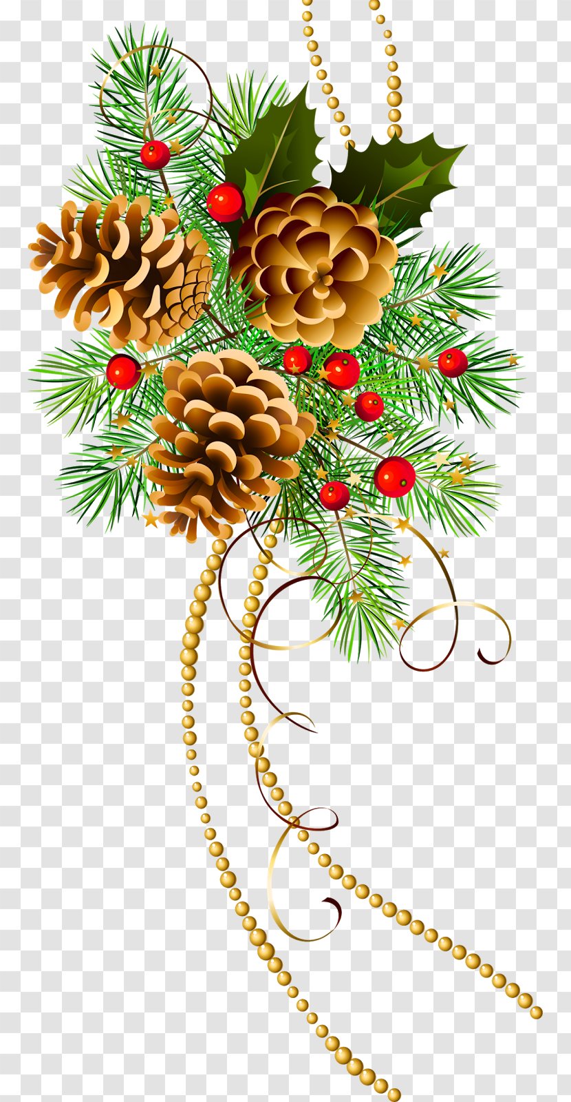 Christmas Ornament Santa Claus Decoration Clip Art - Pine Family - Branches Buckle Free Photos Transparent PNG