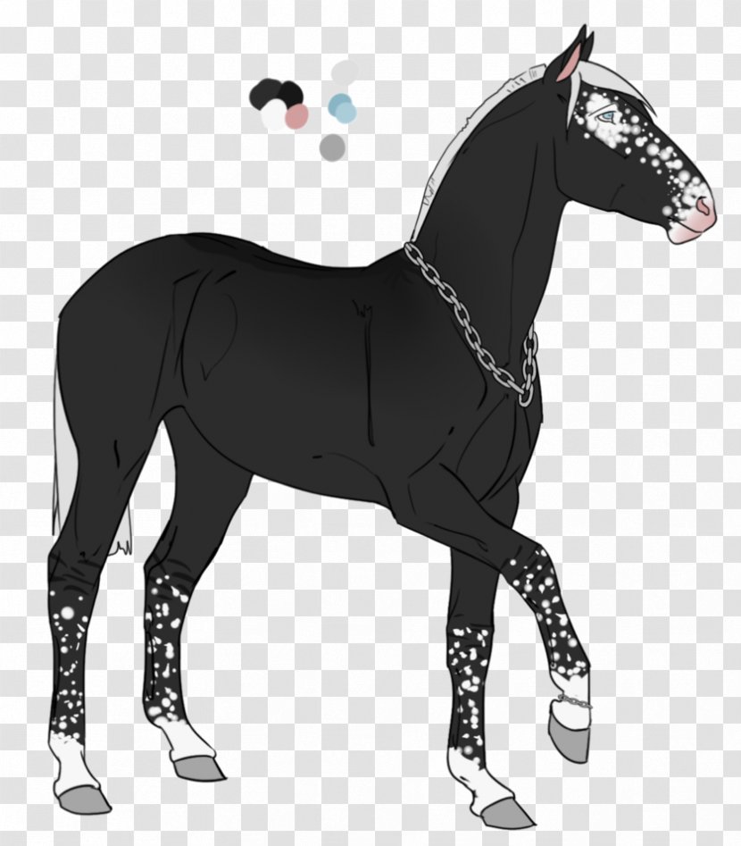 Mustang Foal Mare Stallion Halter - Vertebrate - Breeding Season Male Transparent PNG