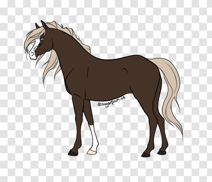 Foal Pony Mane Mustang Stallion - Fictional Character Transparent PNG