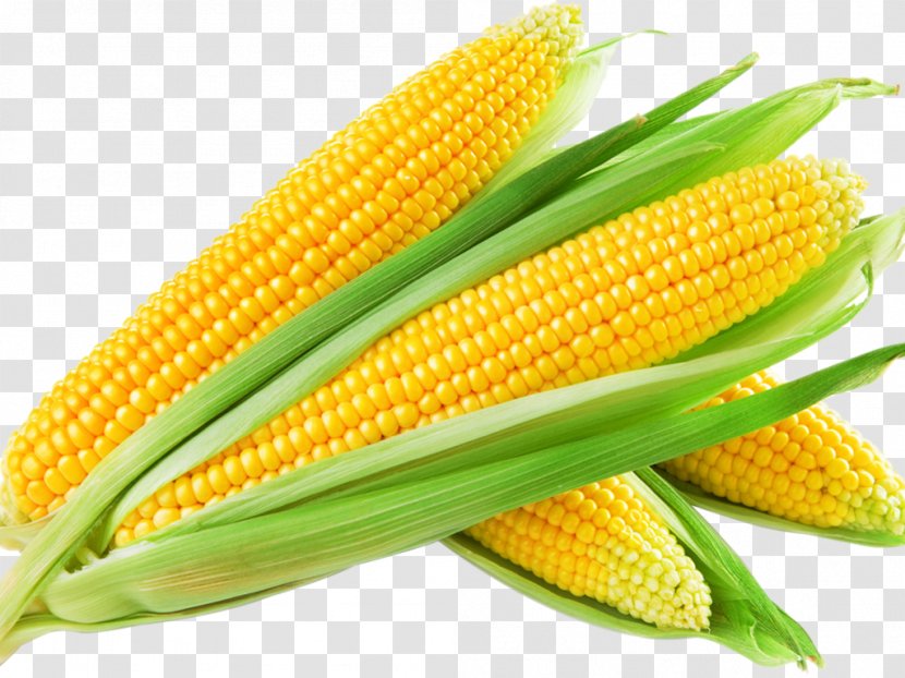 Maize Sweet Corn Clip Art - Vegetarian Food Transparent PNG