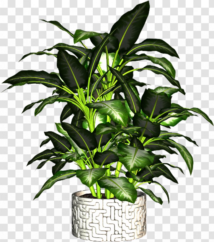 Flowerpot Plant Transparent PNG