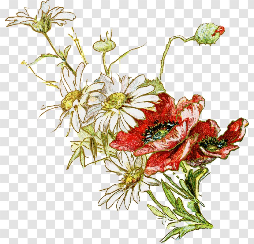 Flower - Petal - Arranging Transparent PNG