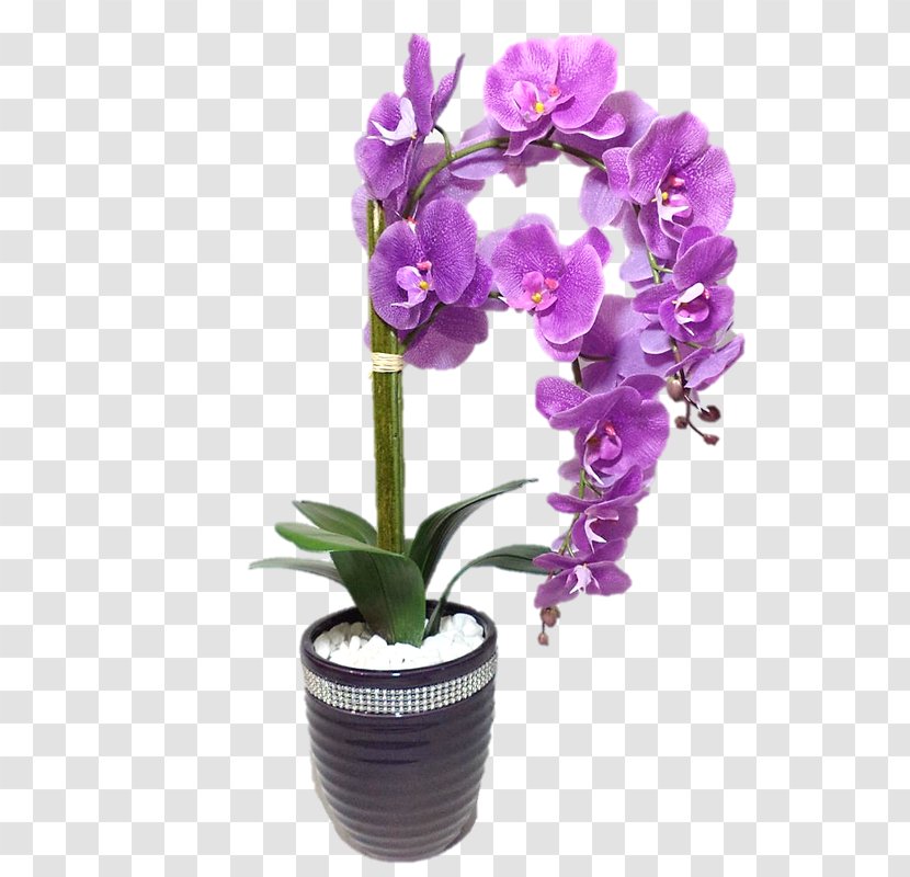 Cut Flowers Flower Bouquet Birthday Floral Design - Moth Orchid Transparent PNG
