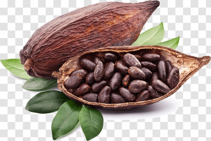 Criollo Organic Food Raw Foodism Tejate Cocoa Bean - Vegetarian - Coco Transparent PNG