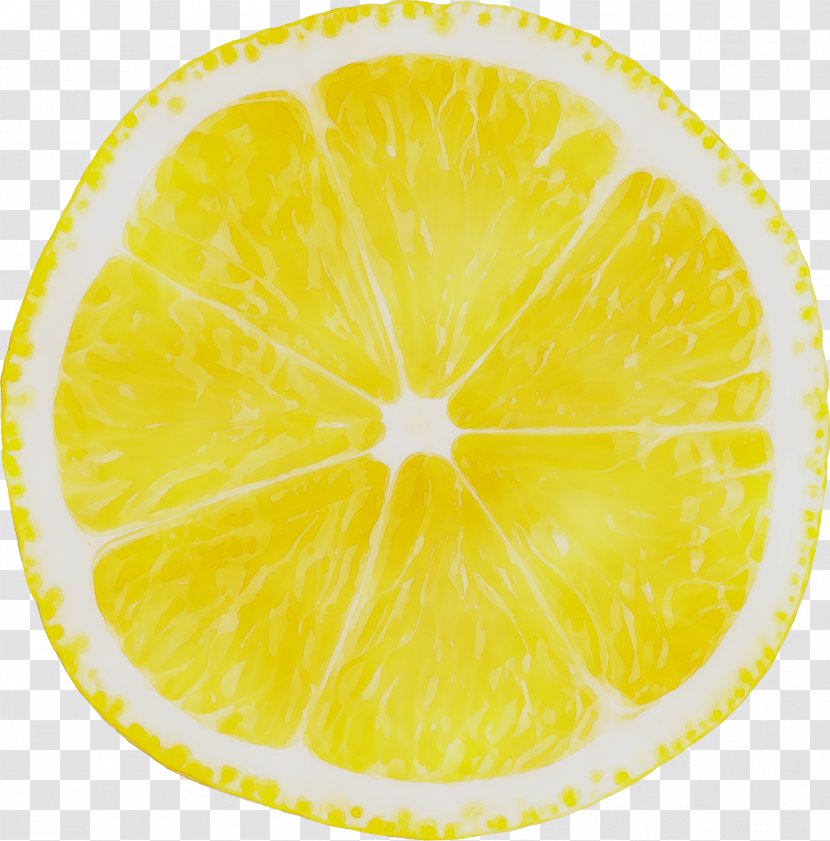 Sweet Lemon Citron Grapefruit Lime - Plant Transparent PNG