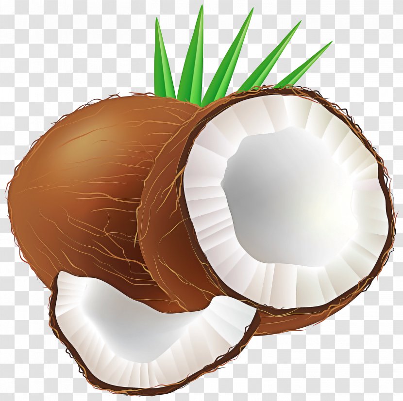 Palm Trees - Fruit - Plant Coconut Crab Transparent PNG