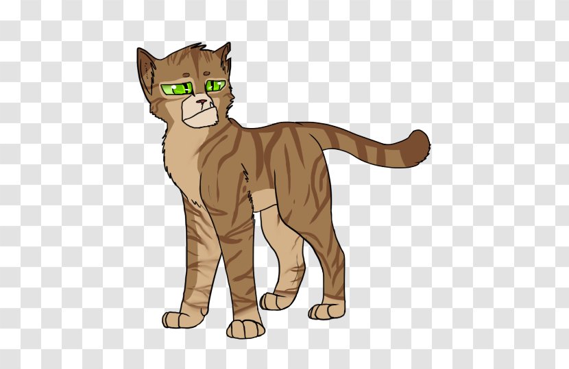 Crookedstar's Promise Whiskers Kitten Warriors - Drawing Transparent PNG
