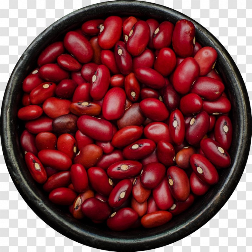 Adzuki Bean Common Legume Great Rift Valley Ethiopia - Vegetable - Red Beans Transparent PNG