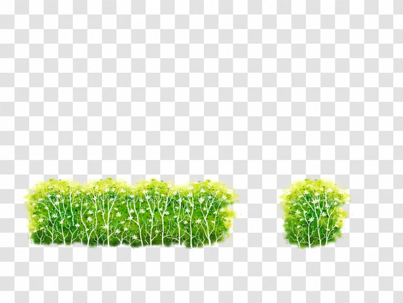 Shrub Download Illustration - Grass - Green Bushes Transparent PNG