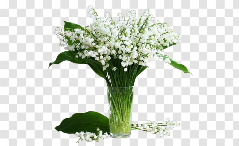 Lily Of The Valley Photography Clip Art - May 1 - Tube Transparent PNG