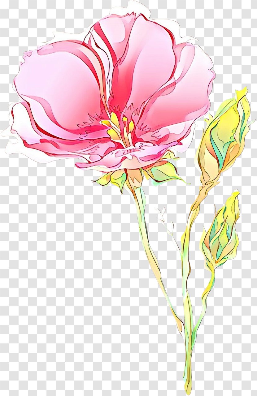 Flower Petal Plant Flowering Pink - Tulip Stem Transparent PNG