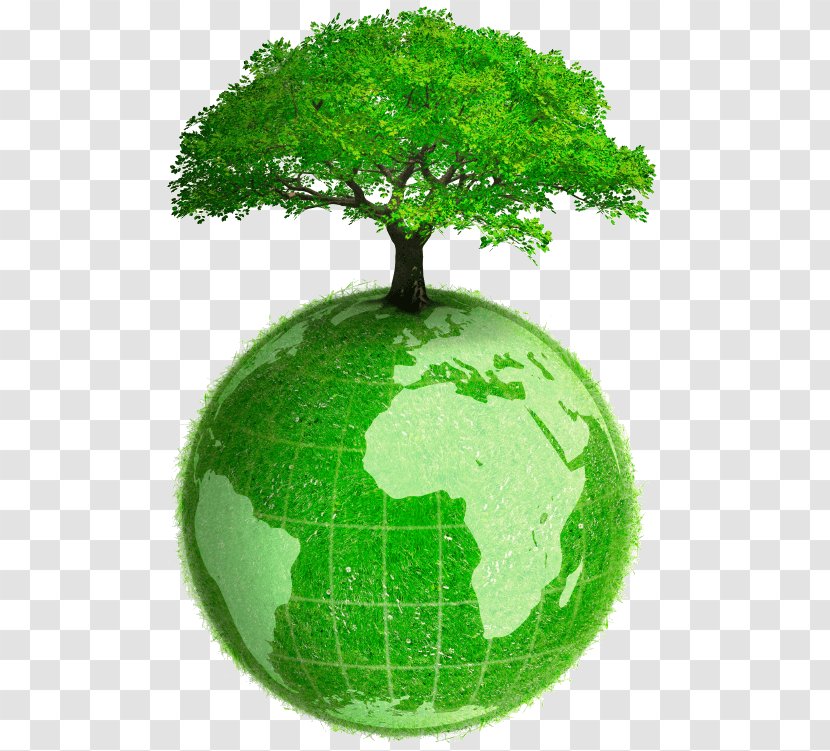 Earth Green Natural Environment Planet MSU Bioeconomy Institute - Organism - Eco Freindly Transparent PNG