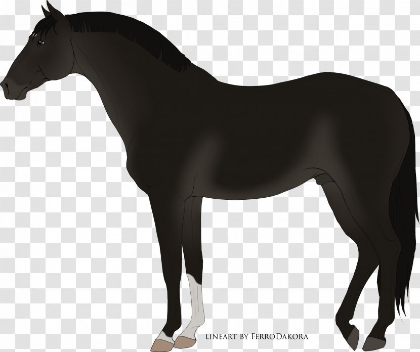 Mustang Stallion Mare Rein Halter Transparent PNG