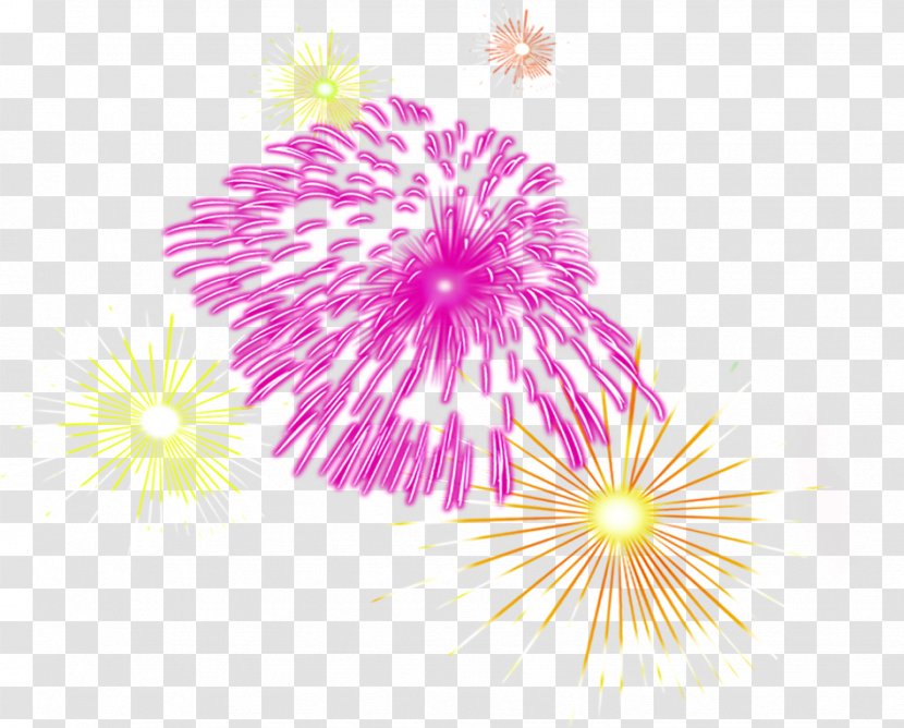 Fireworks Creativity - Creative Beautiful Color Transparent PNG