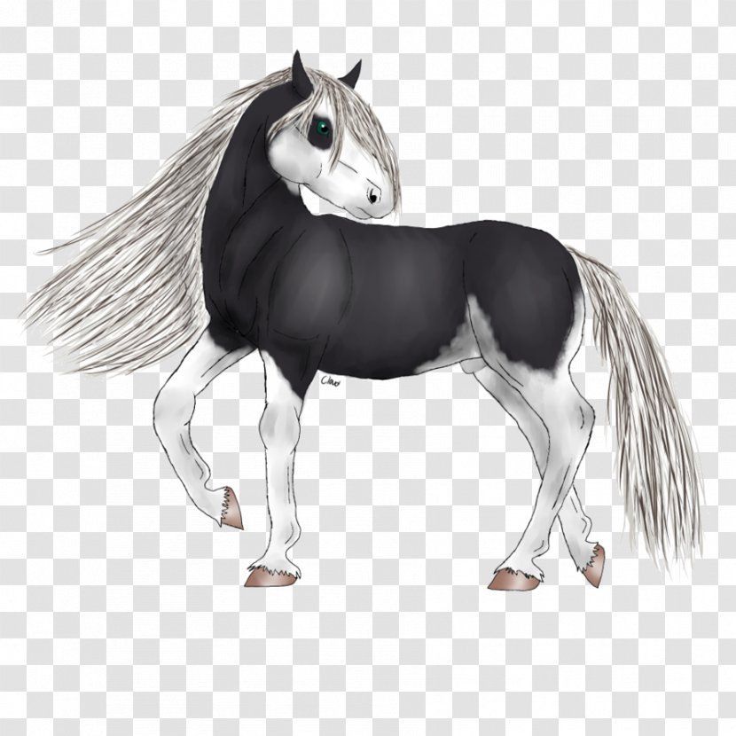 Mane Pony Mustang Cat Stallion - Rein - Friesian Horse Transparent PNG