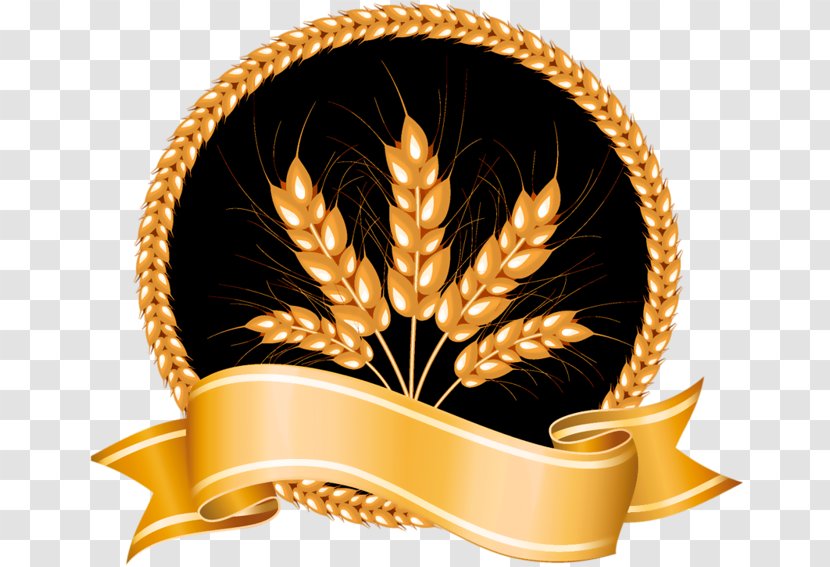 Stock Photography Ear Royalty-free Illustration Wheat - Commodity Transparent PNG