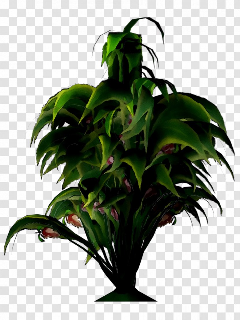 Palm Trees Flowerpot Houseplant Leaf - Plant Transparent PNG