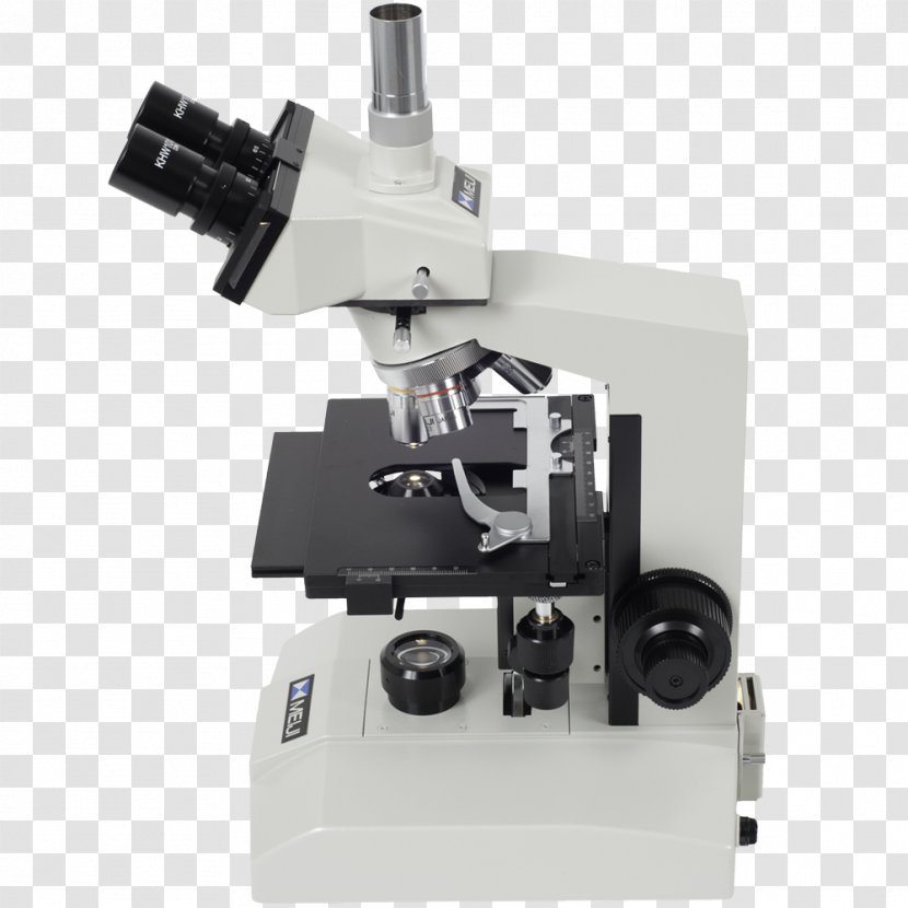 Microscope Angle - Optical Instrument - Phase Contrast Microscopy Transparent PNG