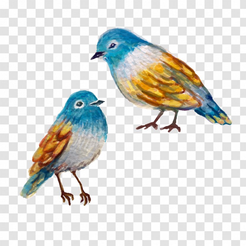 Bird Finch Watercolor Painting - Feather - Birds Transparent PNG
