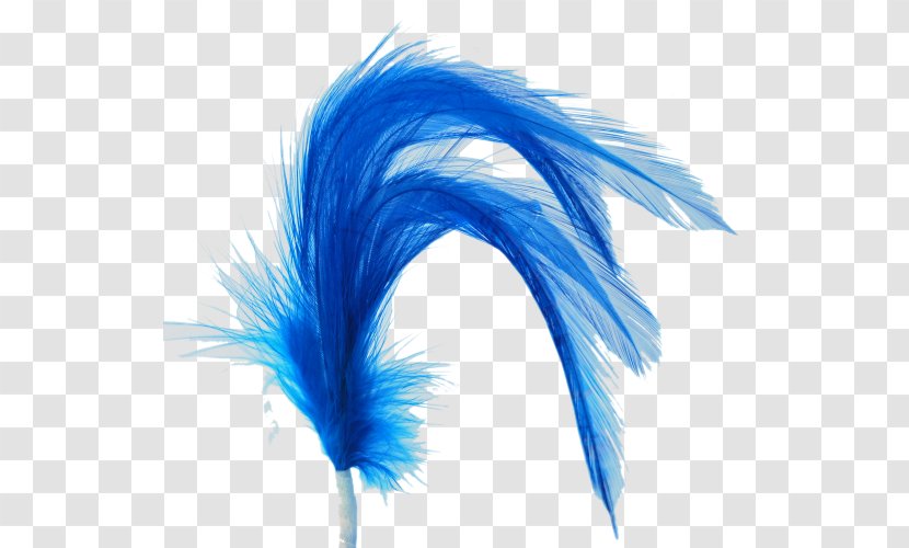 Feather Microsoft Azure - Peacock Feathers Transparent PNG