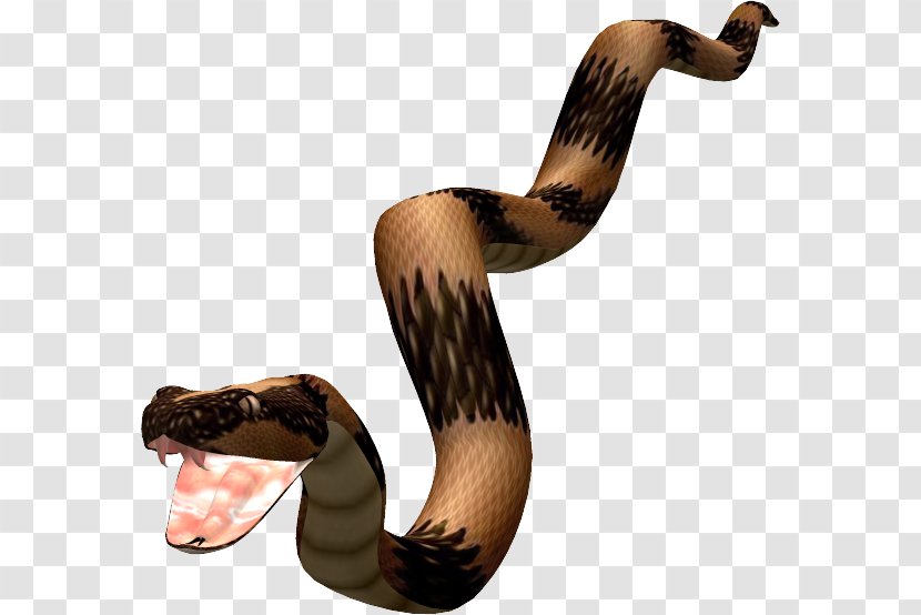 Snakes Image Animal Adatformátum - Biscuits - Animaux Transparent PNG