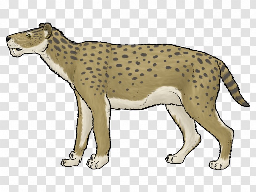 Cheetah Lion Leopard Lokotunjailurus Carnivora - Panthera Transparent PNG