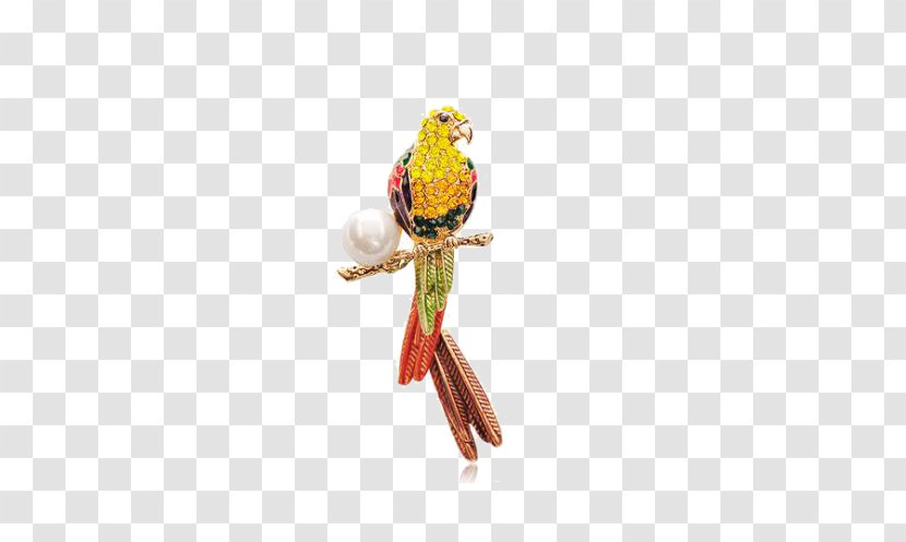 Used Good Suit Man Fibula Clothing - Parrot Brooch Transparent PNG