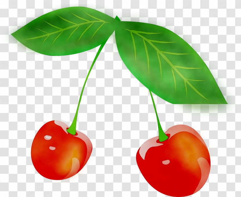 Cherries Image Food Clip Art - Fruit - Drupe Transparent PNG