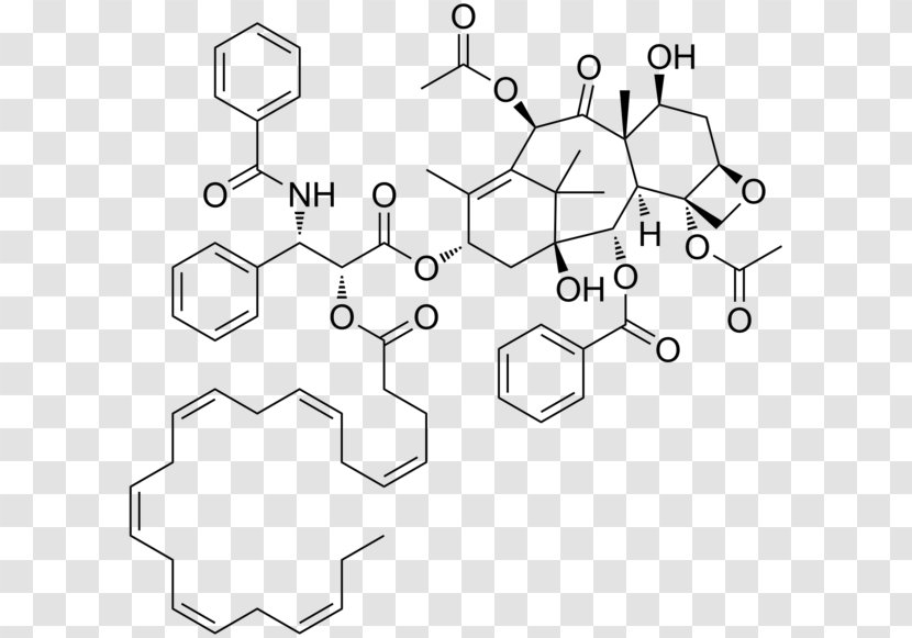 Paclitaxel Total Synthesis 10-Deacetylbaccatin DHA-paclitaxel Natural Product - Technology - Taxus Transparent PNG