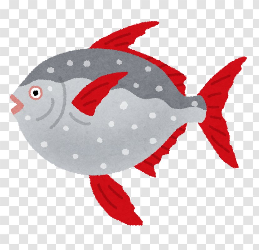 Lampris Guttatus Ocean Sunfish Sashimi Deep Sea Fish - Yellowtail Amberjack Transparent PNG