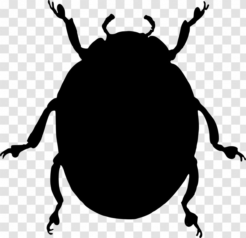 Clip Art Insect Weevil Silhouette Black M - Leaf Beetle Transparent PNG