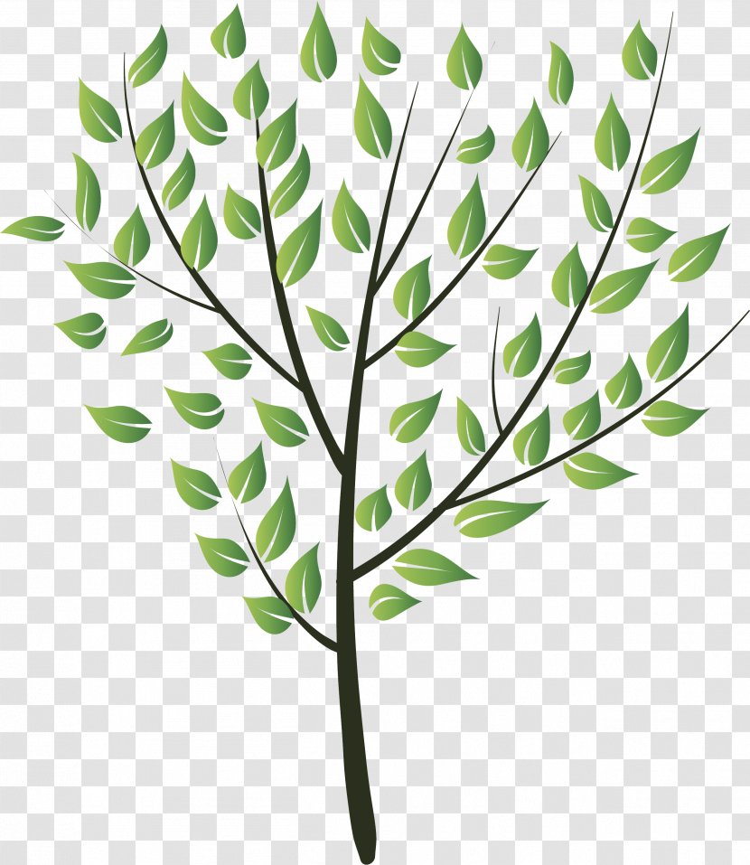 Drawing - Photography - Flower Tree Transparent PNG