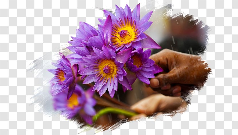 Kelaniya Raja Maha Vihara Buddhist Temple Jaya Sri Bodhi Buddhism - Purple - Eid Al Fitr Second Day Transparent PNG