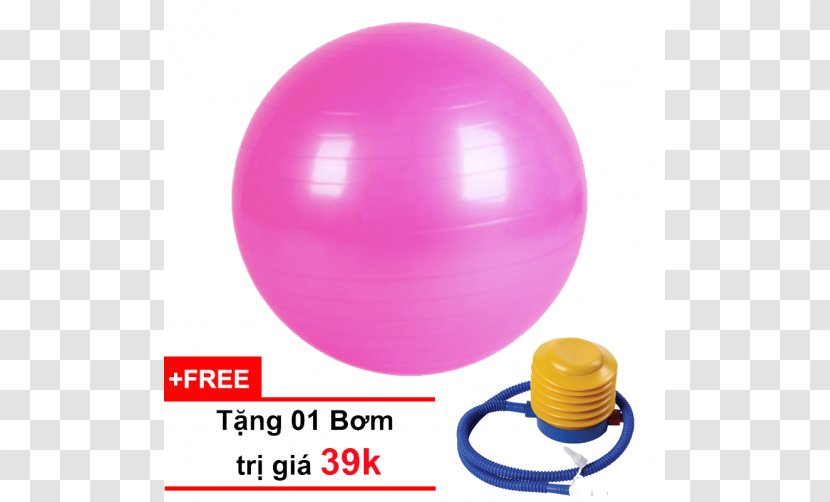 Dụng Cụ Thể Thao VivaSports Muscle Bodybuilding Ball - Physical Strength - Yoga，yoga Day Transparent PNG
