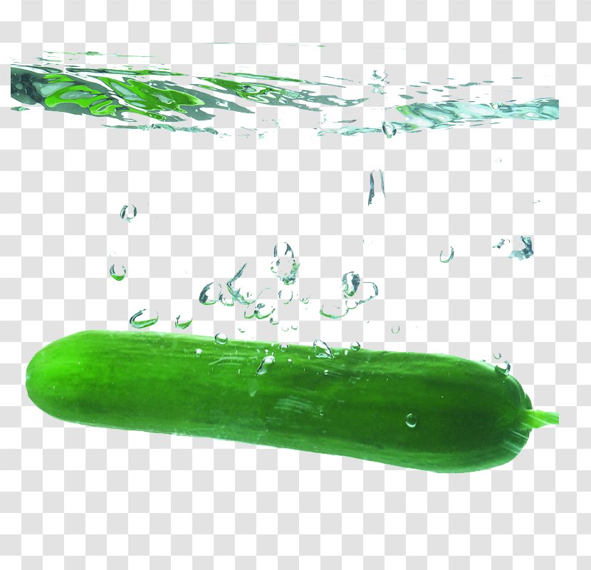 Cucumber Vegetable Food Melon U6c41 - Green - Pictures Of Fruits And Vegetables Transparent PNG